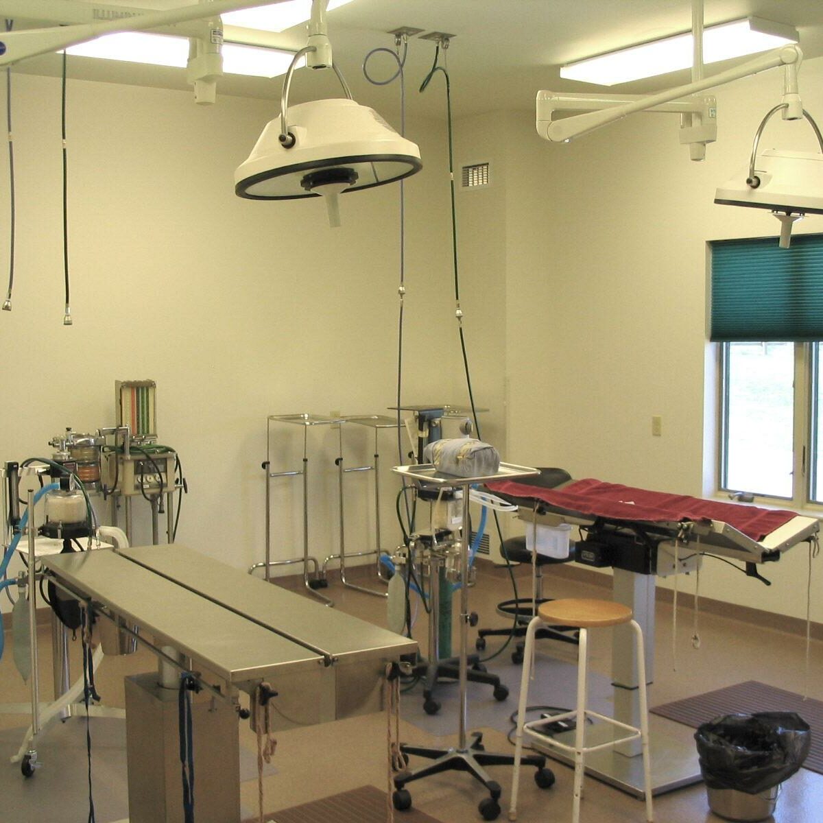 Buckeystown Vet Hospital Bruchey Builders, Inc